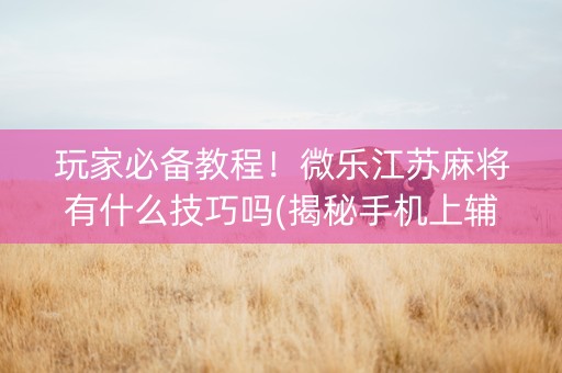 玩家必备教程！微乐江苏麻将有什么技巧吗(揭秘手机上辅牌器)