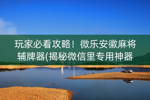 玩家必看攻略！微乐安徽麻将辅牌器(揭秘微信里专用神器)