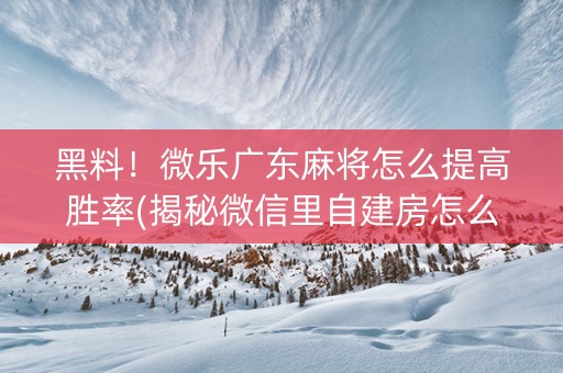 黑料！微乐广东麻将怎么提高胜率(揭秘微信里自建房怎么赢)