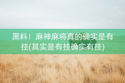 黑料！麻神麻将真的确实是有挂(其实是有挂确实有挂)