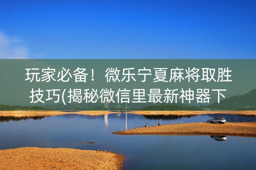 玩家必备！微乐宁夏麻将取胜技巧(揭秘微信里最新神器下载)