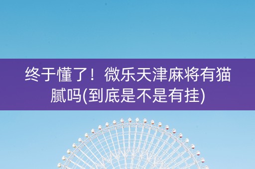 终于懂了！微乐天津麻将有猫腻吗(到底是不是有挂)