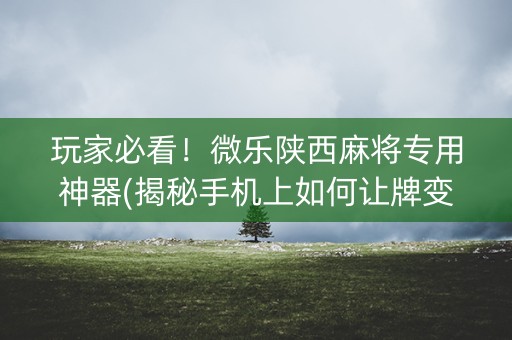 玩家必看！微乐陕西麻将专用神器(揭秘手机上如何让牌变好)