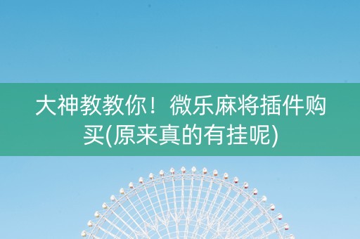 大神教教你！微乐麻将插件购买(原来真的有挂呢)