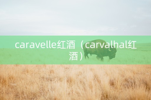 caravelle红酒（carvalhal红酒）