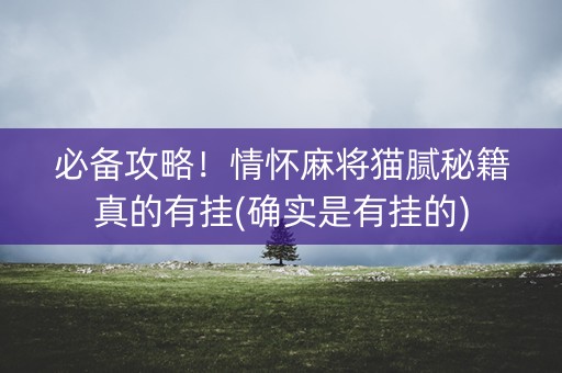 必备攻略！情怀麻将猫腻秘籍真的有挂(确实是有挂的)