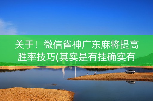 关于！微信雀神广东麻将提高胜率技巧(其实是有挂确实有挂)
