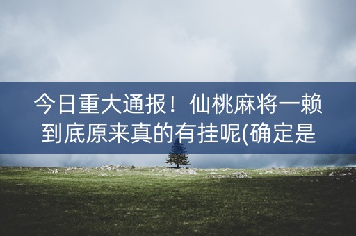 今日重大通报！仙桃麻将一赖到底原来真的有挂呢(确定是有挂)