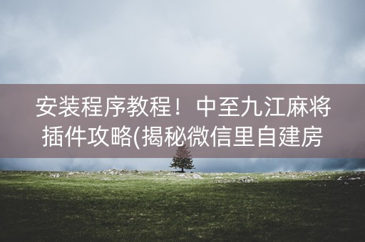 安装程序教程！中至九江麻将插件攻略(揭秘微信里自建房怎么赢)