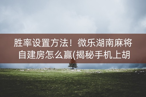 胜率设置方法！微乐湖南麻将自建房怎么赢(揭秘手机上胡牌技巧)