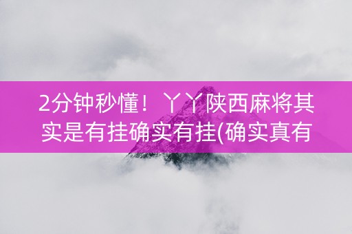 2分钟秒懂！丫丫陕西麻将其实是有挂确实有挂(确实真有挂)