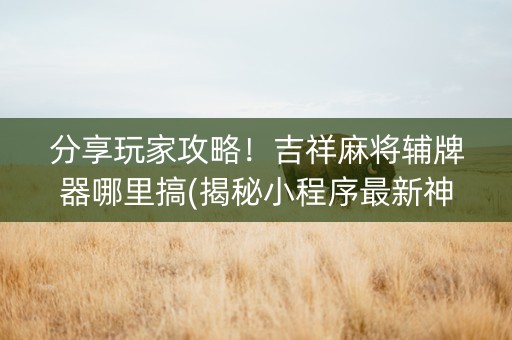 分享玩家攻略！吉祥麻将辅牌器哪里搞(揭秘小程序最新神器下载)