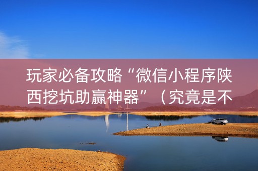玩家必备攻略“微信小程序陕西挖坑助赢神器”（究竟是不是有挂)
