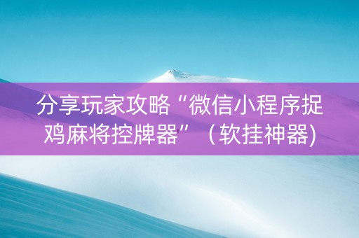 分享玩家攻略“微信小程序捉鸡麻将控牌器”（软挂神器)