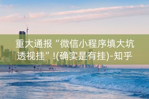 重大通报“微信小程序填大坑透视挂”!(确实是有挂)-知乎