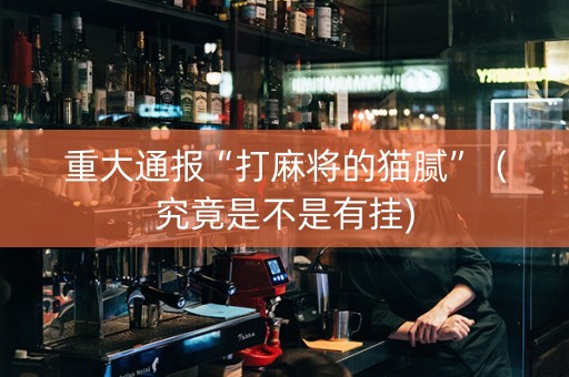 重大通报“打麻将的猫腻”（究竟是不是有挂)