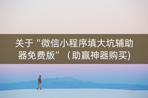 关于“微信小程序填大坑辅助器免费版”（助赢神器购买)