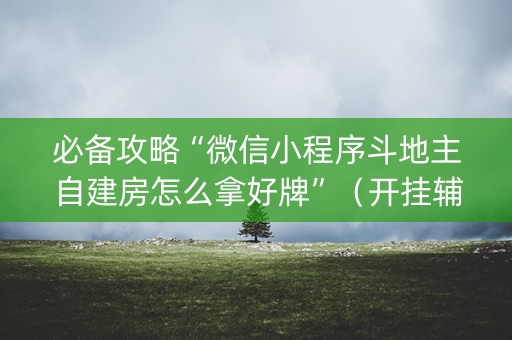 必备攻略“微信小程序斗地主自建房怎么拿好牌”（开挂辅助器脚本)