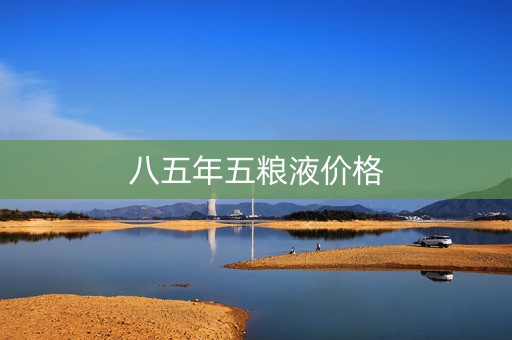 八五年五粮液价格