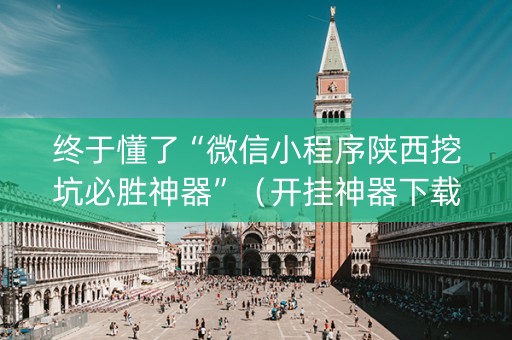 终于懂了“微信小程序陕西挖坑必胜神器”（开挂神器下载)