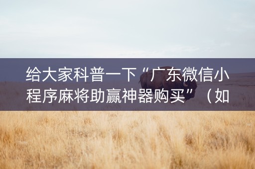 给大家科普一下“广东微信小程序麻将助赢神器购买”（如何提高胜率)