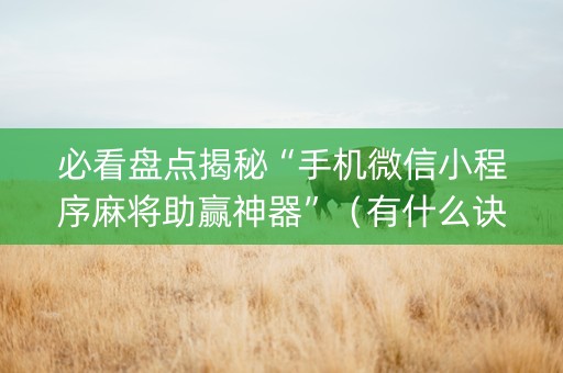 必看盘点揭秘“手机微信小程序麻将助赢神器”（有什么诀窍)