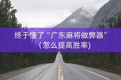 终于懂了“广东麻将做弊器”（怎么提高胜率)