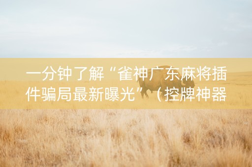 一分钟了解“雀神广东麻将插件骗局最新曝光”（控牌神器)