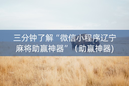 三分钟了解“微信小程序辽宁麻将助赢神器”（助赢神器)