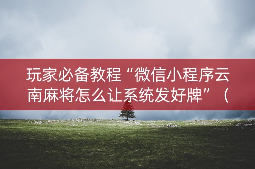 玩家必备教程“微信小程序云南麻将怎么让系统发好牌”（神器最新免费)