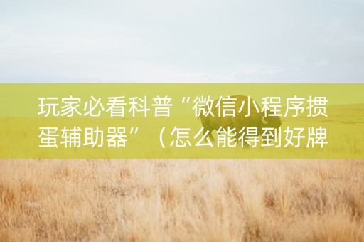 玩家必看科普“微信小程序掼蛋辅助器”（怎么能得到好牌)