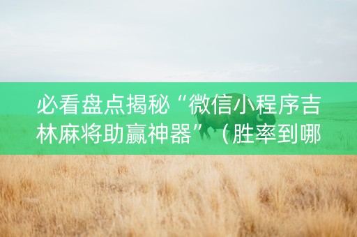 必看盘点揭秘“微信小程序吉林麻将助赢神器”（胜率到哪调)