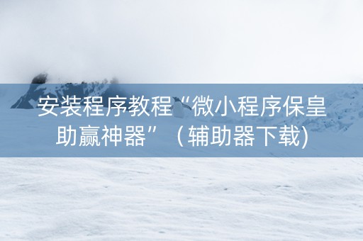 安装程序教程“微小程序保皇助赢神器”（辅助器下载)