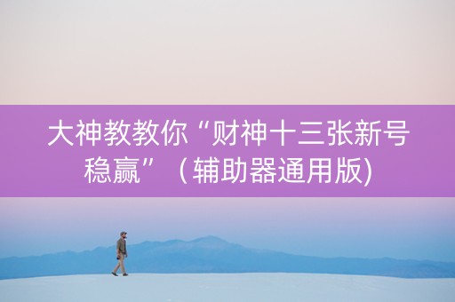 大神教教你“财神十三张新号稳赢”（辅助器通用版)