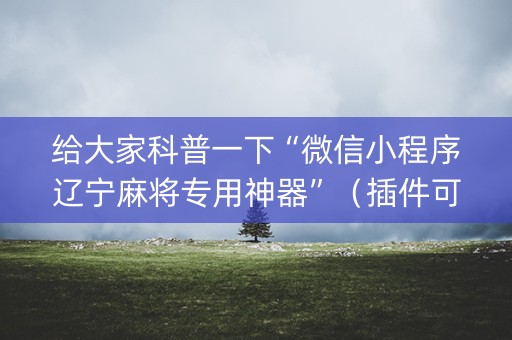 给大家科普一下“微信小程序辽宁麻将专用神器”（插件可信吗)