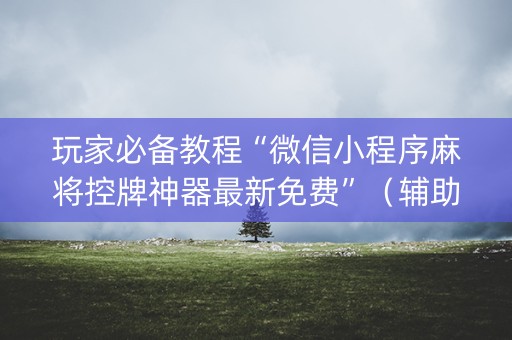 玩家必备教程“微信小程序麻将控牌神器最新免费”（辅助软件)