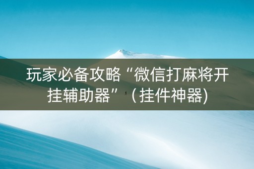 玩家必备攻略“微信打麻将开挂辅助器”（挂件神器)