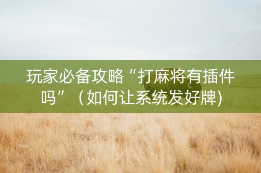 玩家必备攻略“打麻将有插件吗”（如何让系统发好牌)