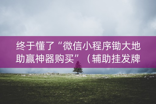 终于懂了“微信小程序锄大地助赢神器购买”（辅助挂发牌规律)