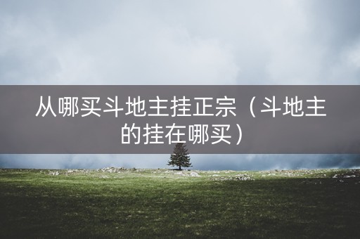 从哪买斗地主挂正宗（斗地主的挂在哪买）