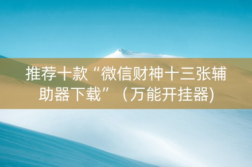 推荐十款“微信财神十三张辅助器下载”（万能开挂器)