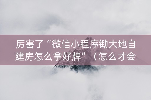 厉害了“微信小程序锄大地自建房怎么拿好牌”（怎么才会赢)