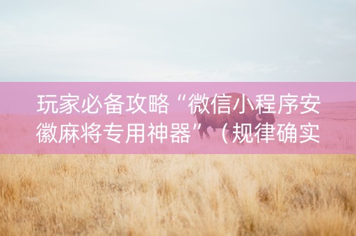 玩家必备攻略“微信小程序安徽麻将专用神器”（规律确实有挂)