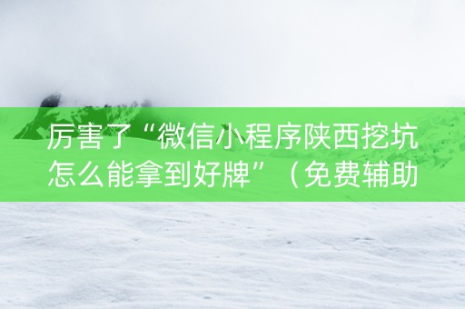 厉害了“微信小程序陕西挖坑怎么能拿到好牌”（免费辅助)