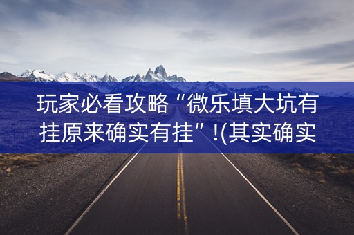 玩家必看攻略“微乐填大坑有挂原来确实有挂”!(其实确实有挂)-知乎