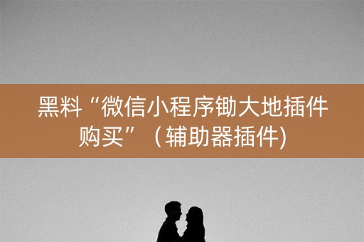 黑料“微信小程序锄大地插件购买”（辅助器插件)