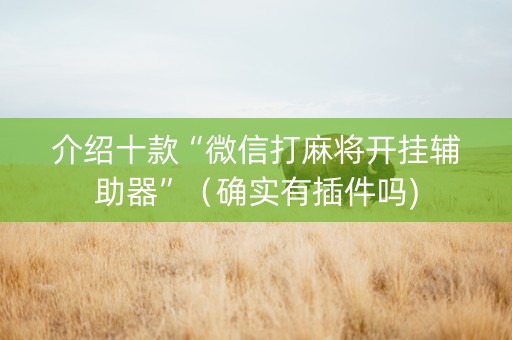 介绍十款“微信打麻将开挂辅助器”（确实有插件吗)