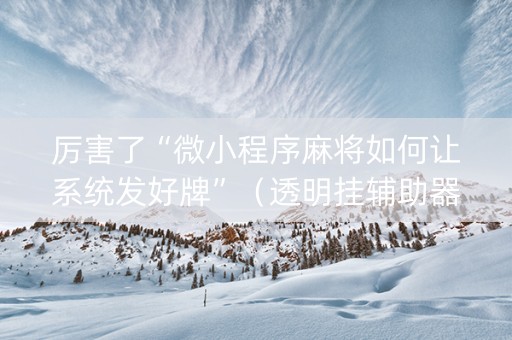厉害了“微小程序麻将如何让系统发好牌”（透明挂辅助器)