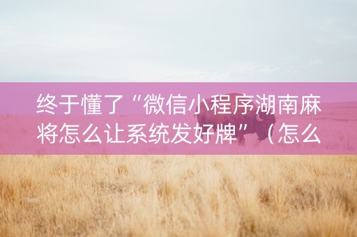 终于懂了“微信小程序湖南麻将怎么让系统发好牌”（怎么让系统给自己好牌)