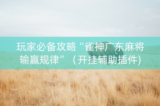玩家必备攻略“雀神广东麻将输赢规律”（开挂辅助插件)